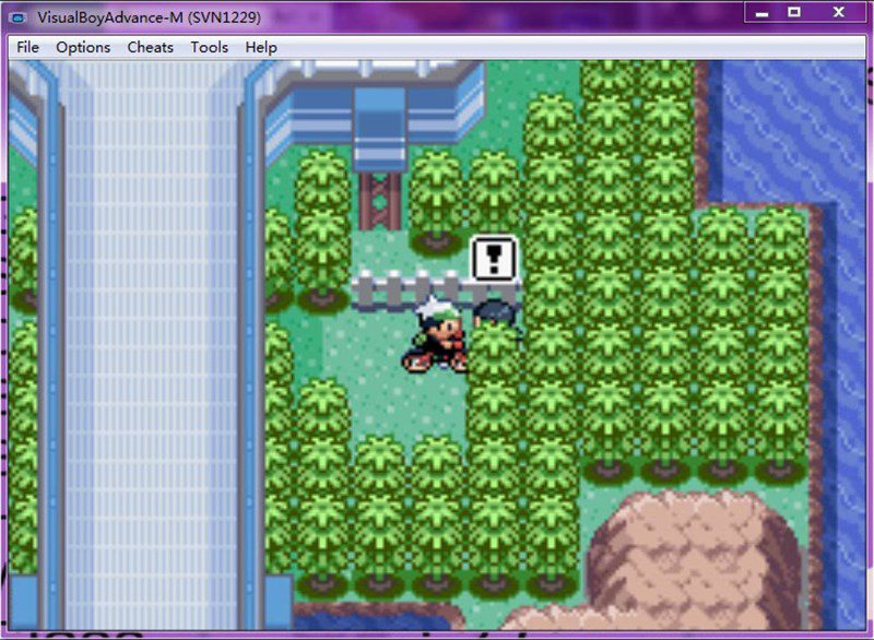 Another scene in Pokemon Emerald