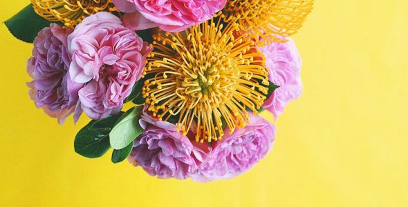 A Color Story (UNLOCKED) 3.8.8 Apk for Android 1 A Color Story Full