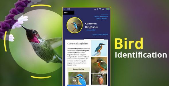 Bird Identifier