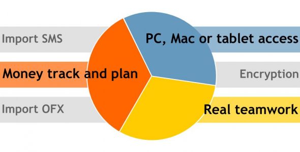 Budget Blitz Pro money tracking and planning