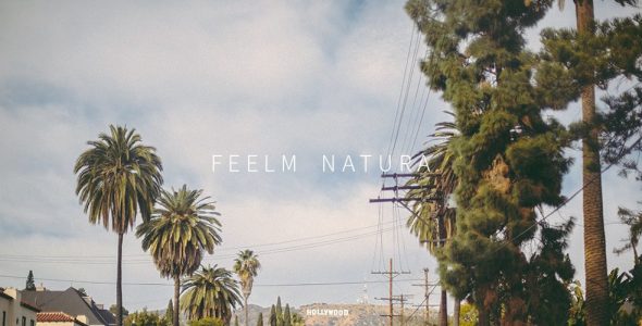 Feelm Natura Analog Filters