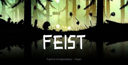 Feist Cover