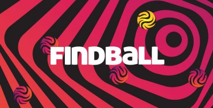 Findball Cover