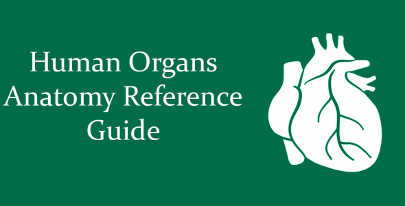 Human Organs Anatomy Reference Guide Pro