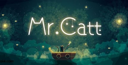 Mr.Catt Cover