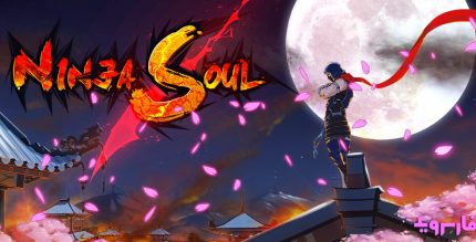 Ninja Soul Cover