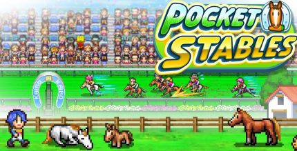 Pocket Stables Cover