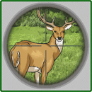 4SeasonsHunt3D logo