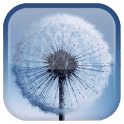 Galaxy S3 Live Wallpaper