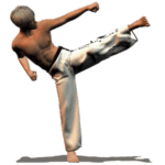 Taekwondo Forms
