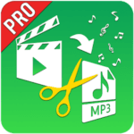 Video to MP3 Pro