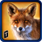 Wild Fox Adventures 2016 Logo