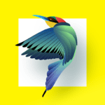 bird identifier