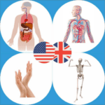 body parts name and pictures
