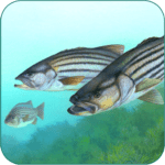 fishing fanatic fishing app with solunar charts