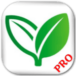 home remedies pro