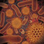 infectious disease compendium