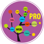 learn web development pro