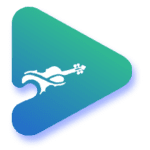 music player 2021