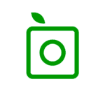 plantsnap free plant identifier app
