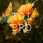text over image pro write text on photos no ads