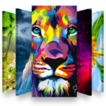 wallking hd wallpapers backgrounds
