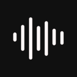 Voice Recorder Pro 1