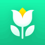 plant parent plant care guide