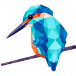 Color by Number Poly Art Logooo