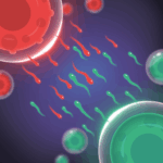 cell expansion wars