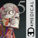 essential anatomy 5