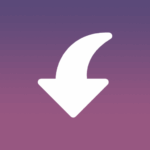 insget video story saver