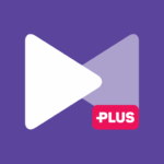 kmplayer plus divx codec