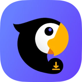 Teradownloader.com Logo