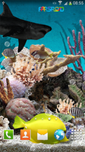 3D Aquarium Live Wallpaper PRO  1.0.2 Apk for Android 3