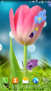 3D Flowers Live Wallpaper  1.0.1 Apk for Android 2