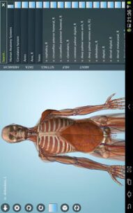 Anatomy 3D Pro – Anatronica  2.07 Apk for Android 2