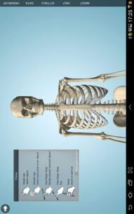 Anatomy 3D Pro – Anatronica  2.07 Apk for Android 3