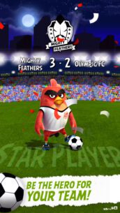 Angry Birds Goal!  0.4.14 Apk for Android 5