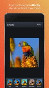 Darkroom Gallery Premium  9.4.1 Apk for Android 1