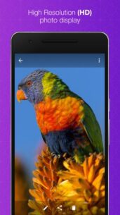 Darkroom Gallery Premium  9.4.1 Apk for Android 6