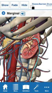 Human Anatomy Atlas  (FULL) 7.4.03 Apk for Android 2