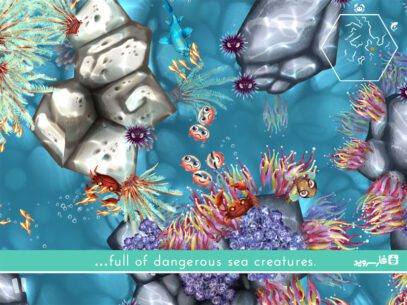 Jelly Reef  1.2 Apk + Data for Android 4