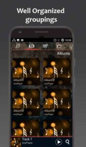 Music Player AnyPlayer (PRO) 3.0.03 Apk for Android 2