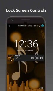 Music Player AnyPlayer (PRO) 3.0.03 Apk for Android 4