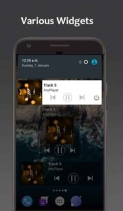 Music Player AnyPlayer (PRO) 3.0.03 Apk for Android 5