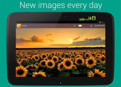 Premium Wallpapers HD  4.3.9 Apk for Android 4