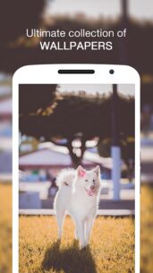 Wallpin HD Wallpapers Pro  1.0.4 Apk for Android 7