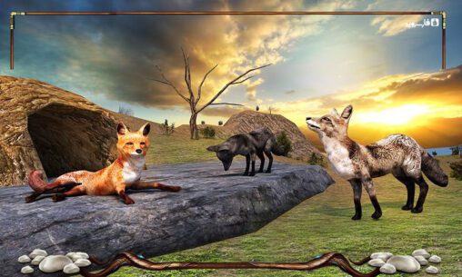 Wild Fox Adventures 2016  1.0 Apk + Mod for Android 3