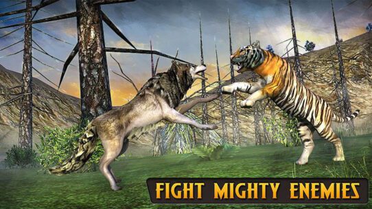 Wolf Life Simulation 2017  1.0 Apk + Mod for Android 1